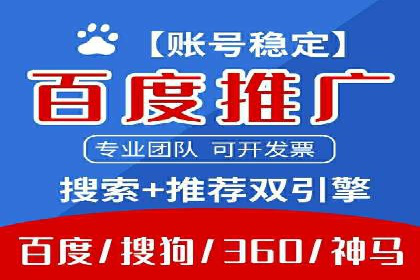 成功SEM推广代运营案例分享